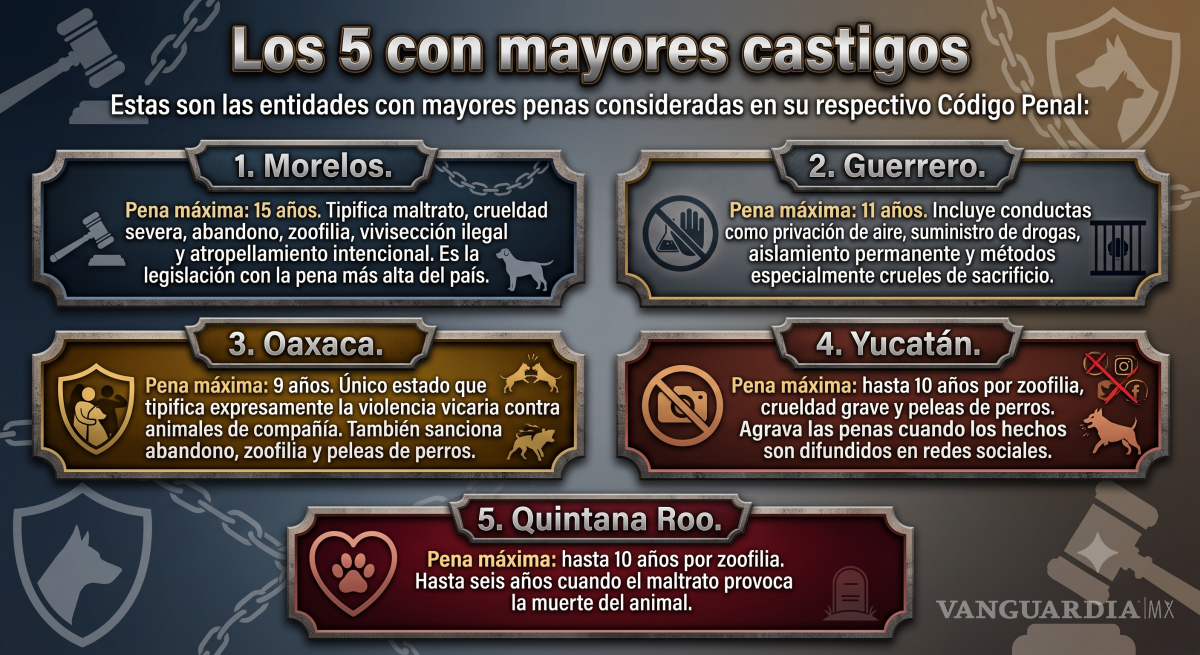 $!Caso Rocky: Morelos, Guerrero y Oaxaca encabezan las penas más severas por maltrato animal; Coahuila alcanza hasta 8 años