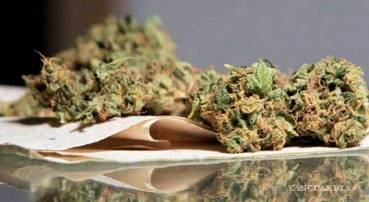 $!Legalización de la mariguana es un acto progresista, considera el diputado electo Sergio Mayer