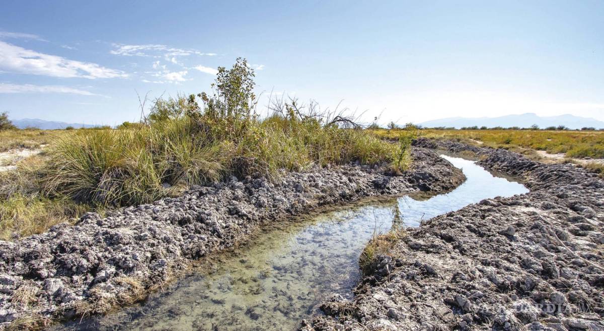 $!Salvar o destruir el Valle de Cuatrociénegas