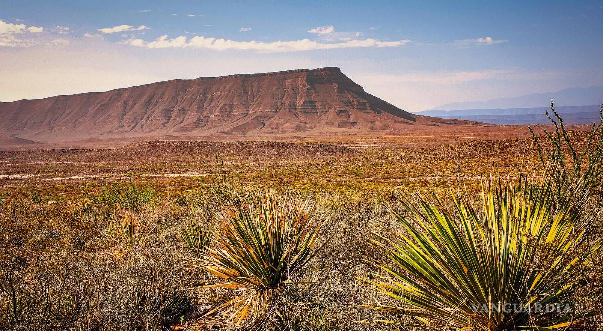 $!Narigua y Rincón Colorado, General Cepeda.