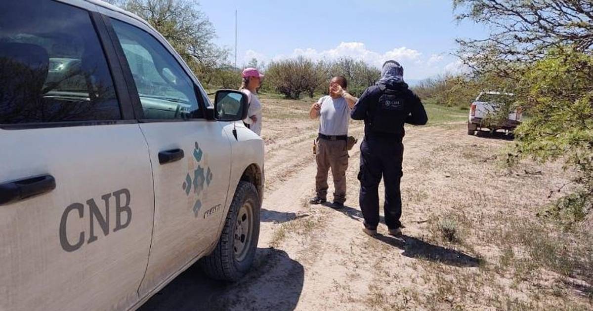 Descarta Sheinbaum que se quiera desmantelar la Comisión de Búsqueda