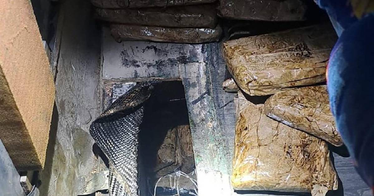 Detienen a 2 con heroína y fentanilo en Sonora