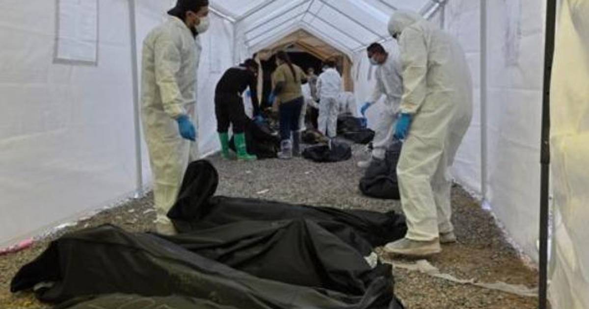 A tres meses del caso Plenitud, suman 96 identificaciones y 62 denuncias por fraude en Chihuahua