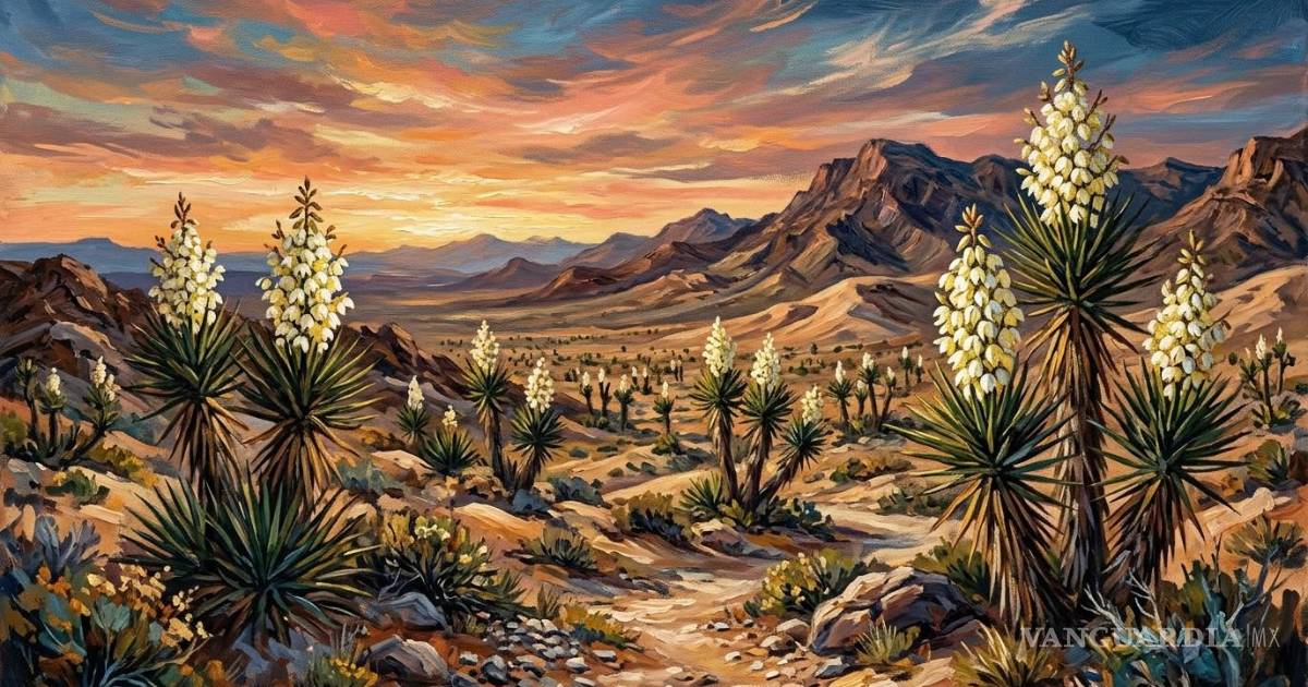 Los ‘cristos coronados’ en las yucas de mi tierra