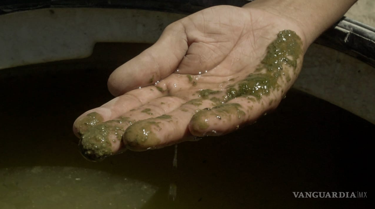 $!Rostros de la sequía: sed por el derecho al agua
