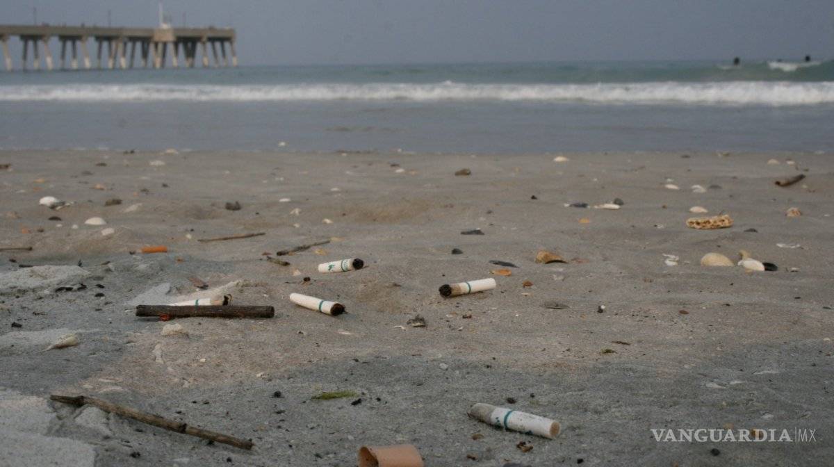 $!Existe un contaminante aún peor que los popotes... ¡las colillas de cigarros!