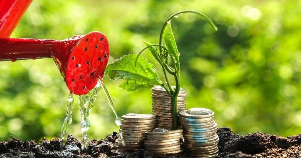 Sector financiero impulsa electromovilidad y créditos verdes en México