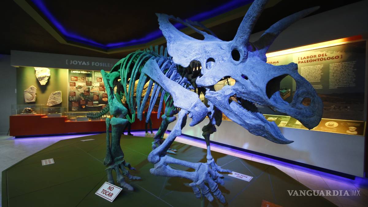 $!Museo del Desierto de Saltillo presenta área totalmente renovada, en el marco de su vigésimo aniversario