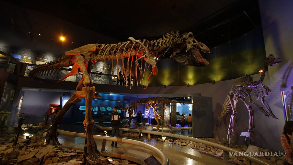 $!Museo del Desierto de Saltillo presenta área totalmente renovada, en el marco de su vigésimo aniversario