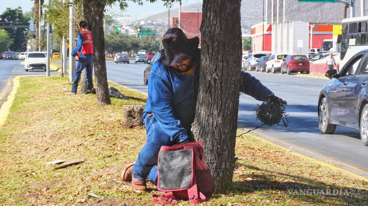 $!Las “cascadas de luz” volverán a adornar la calzada Colón, uno de los puntos más fotografiados.