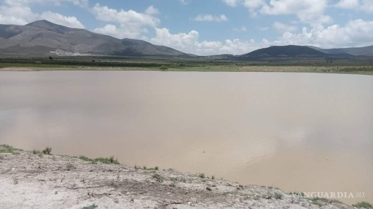 $!La entrega de 40 toneladas de semilla de sorgo y las lluvias recientes auguran una buena cosecha de forraje para el ganado.