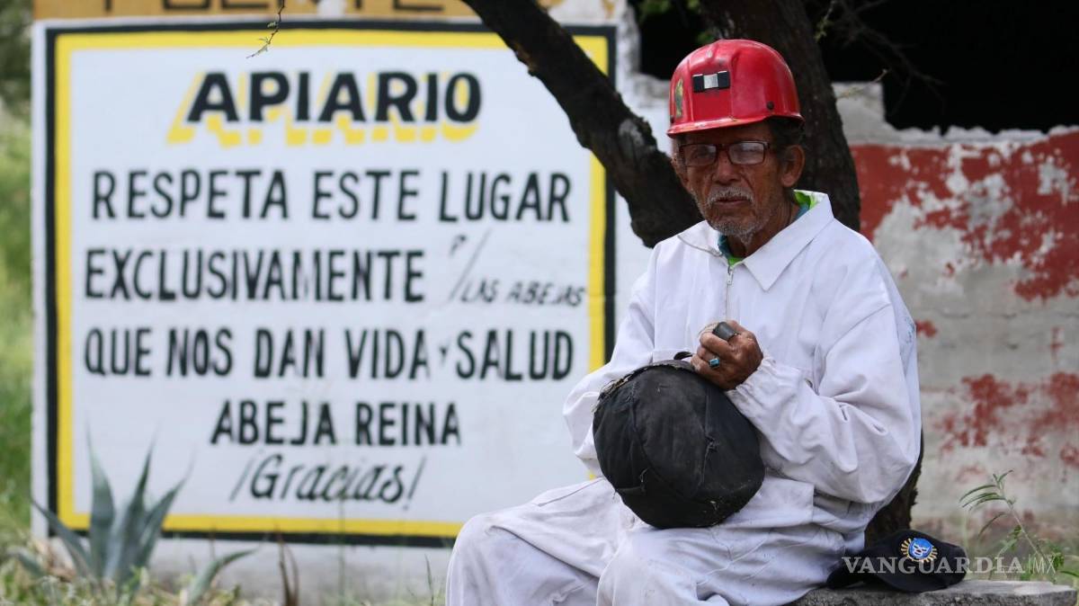 $!El apiario de don Goyo es un muestra de la resistencia frente a la narrativa de que la tierra en esta zona no sirve.
