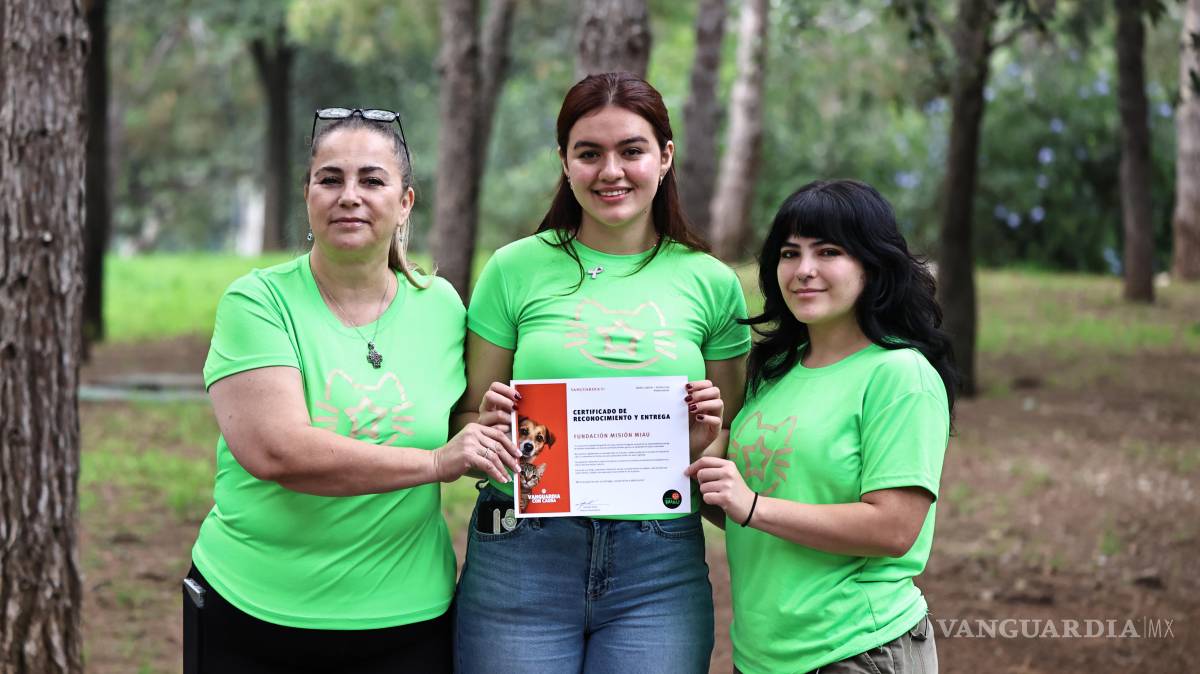 $!Misión Miau destacó la necesidad de fomentar la adopción responsable de gatos y reconocerlos como animales de compañía.
