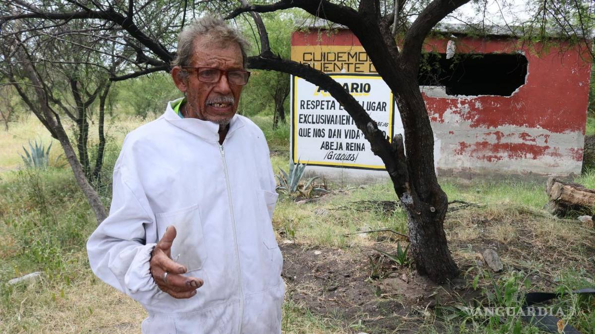 $!Gregorio, Goyo, Rodríguez, explica la importancia de las abejas.