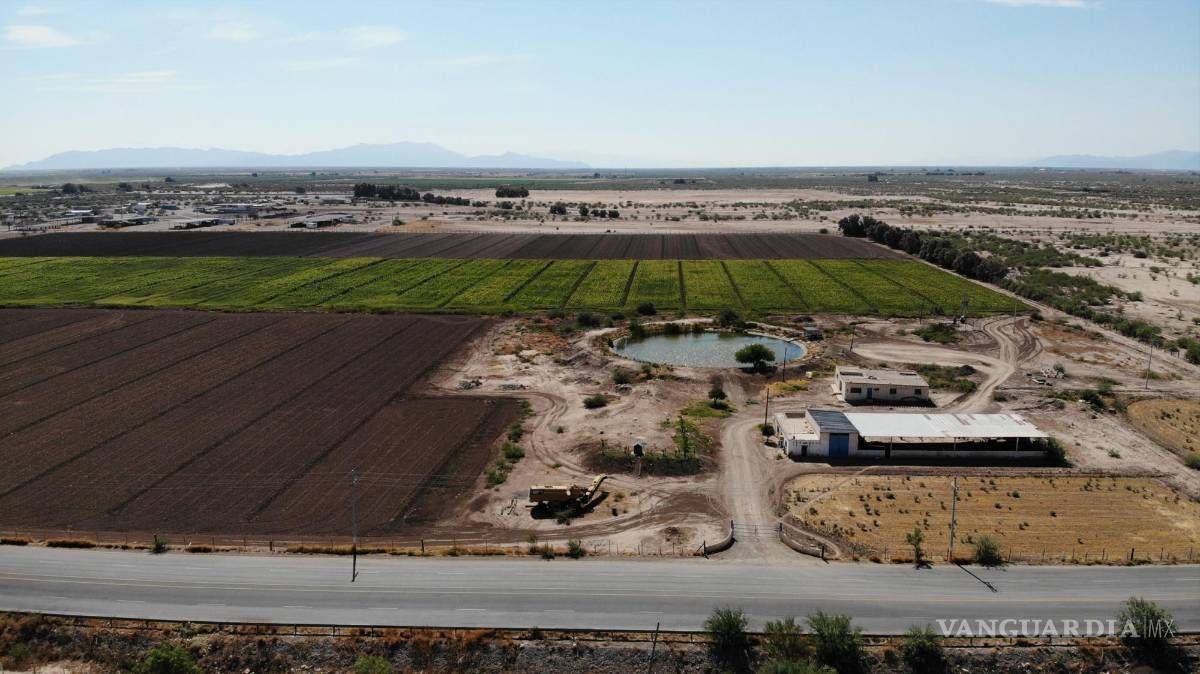 $!Los agrolecheros han ido desplazando a los ejidatarios y ahora controlan la tierra productiva.