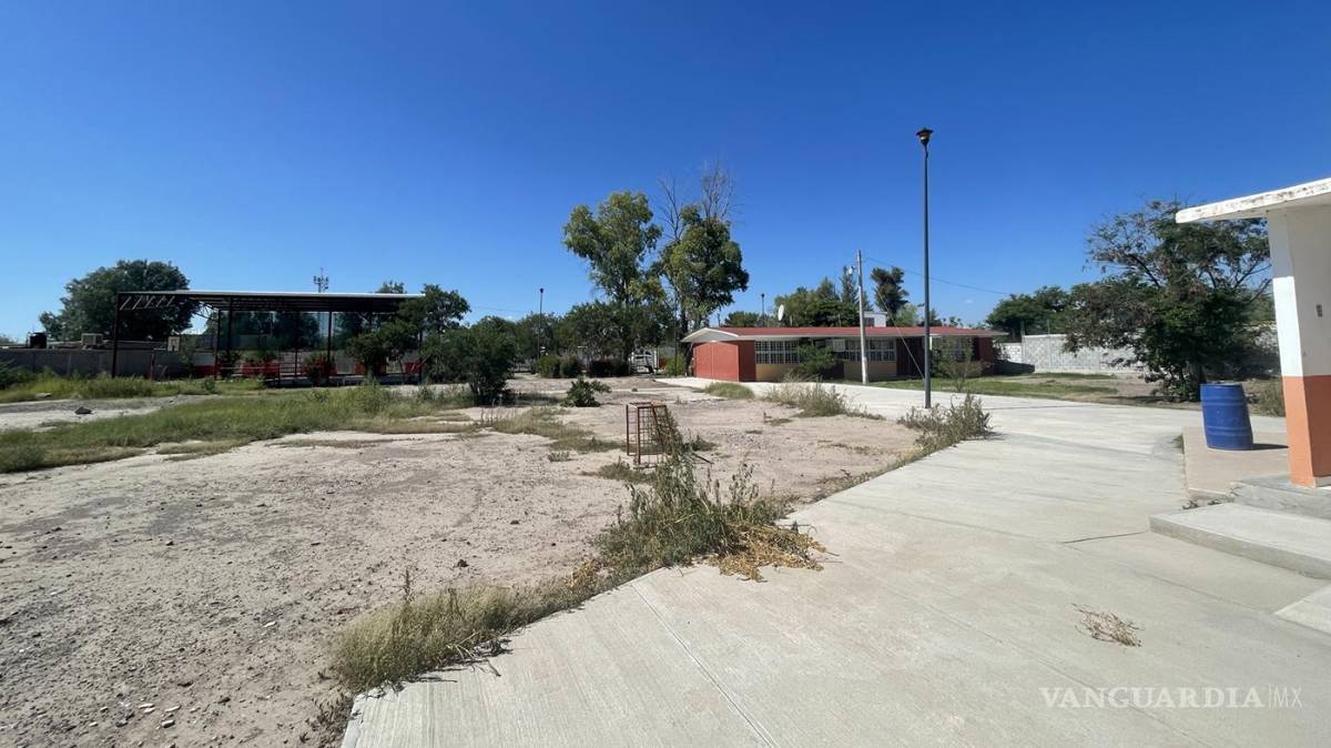 $!Al volver a clases muchas escuelas enfrentaron descuidos como maleza crecida, presencia de fauna y hasta animales muertos.