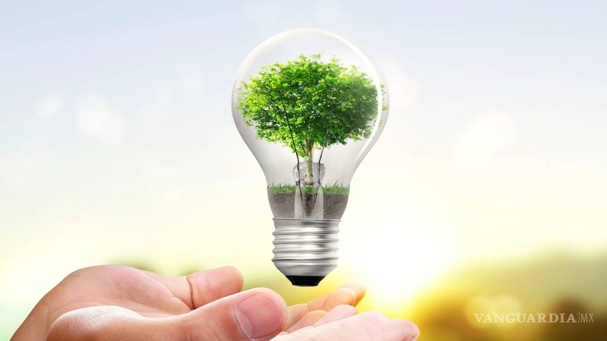 $!La Hora del Planeta: 10 consejos para ahorrar energía todos los días