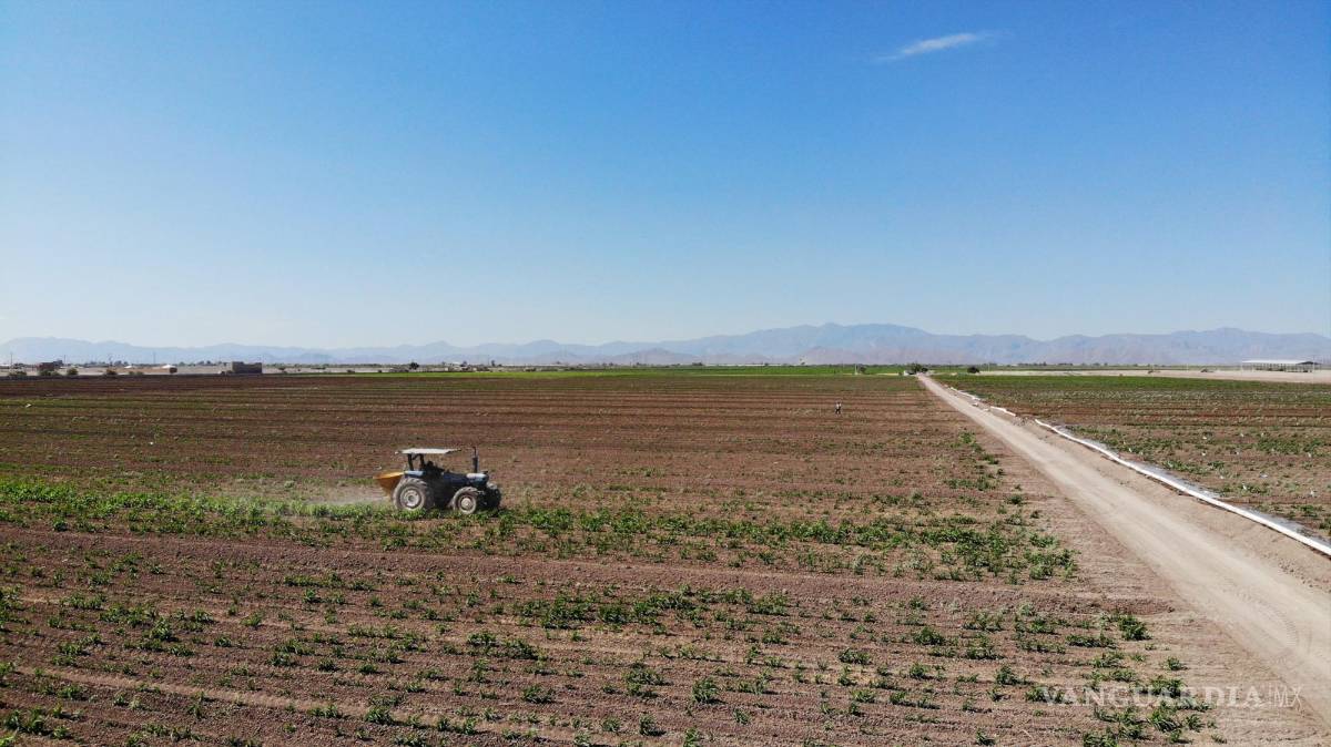 $!El ejido Congregación Hidalgo de Matamoros es un ejemplo de cómo los lecheros han ido desplazando a los campesinos para poner sus establos.