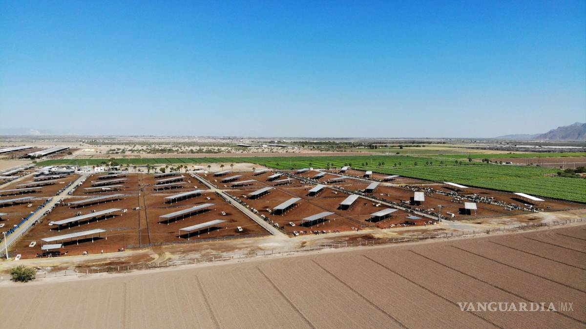 $!Ejidos comppletos se han convertido en ranchos agropecuarios.