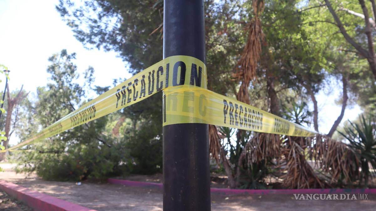 $!A pesar de la falta de juegos infantiles, los niños siguen disfrutando de la plaza en las tardes.