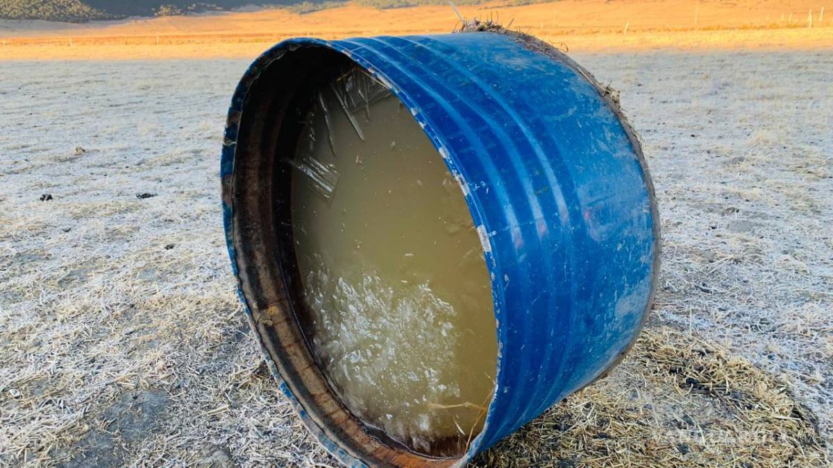 $!Llegan en Arteaga, Coahuila, a -14 grados y 3 pulgadas de hielo