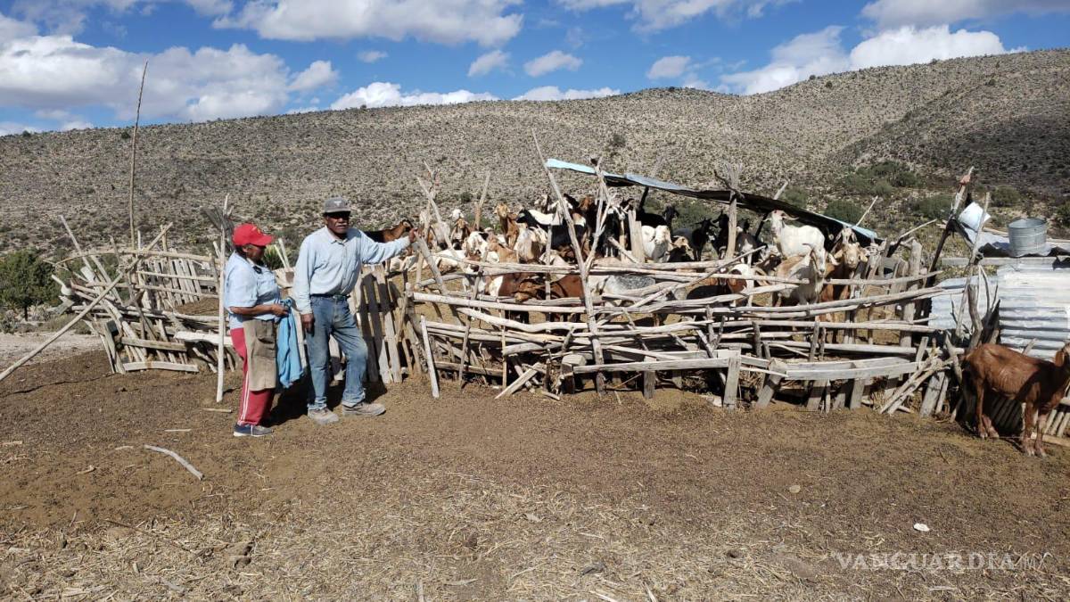 $!“Nosotros no les hacemos nada a nadie y mire lo que nos hacen, unos amigos de mis hijos nos trajeron esas celdas para alumbrarnos, porque ni luz tenemos”.