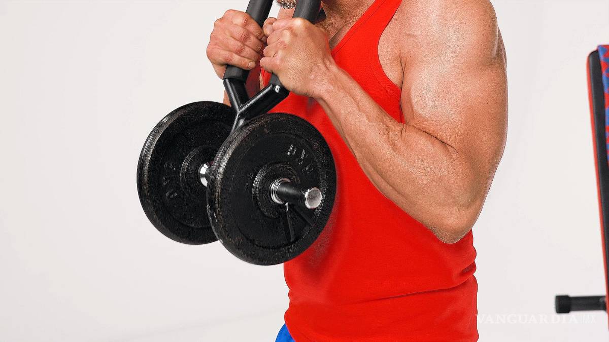 $!Accesorios para musculación Holdweights. EFE/Promoingenio