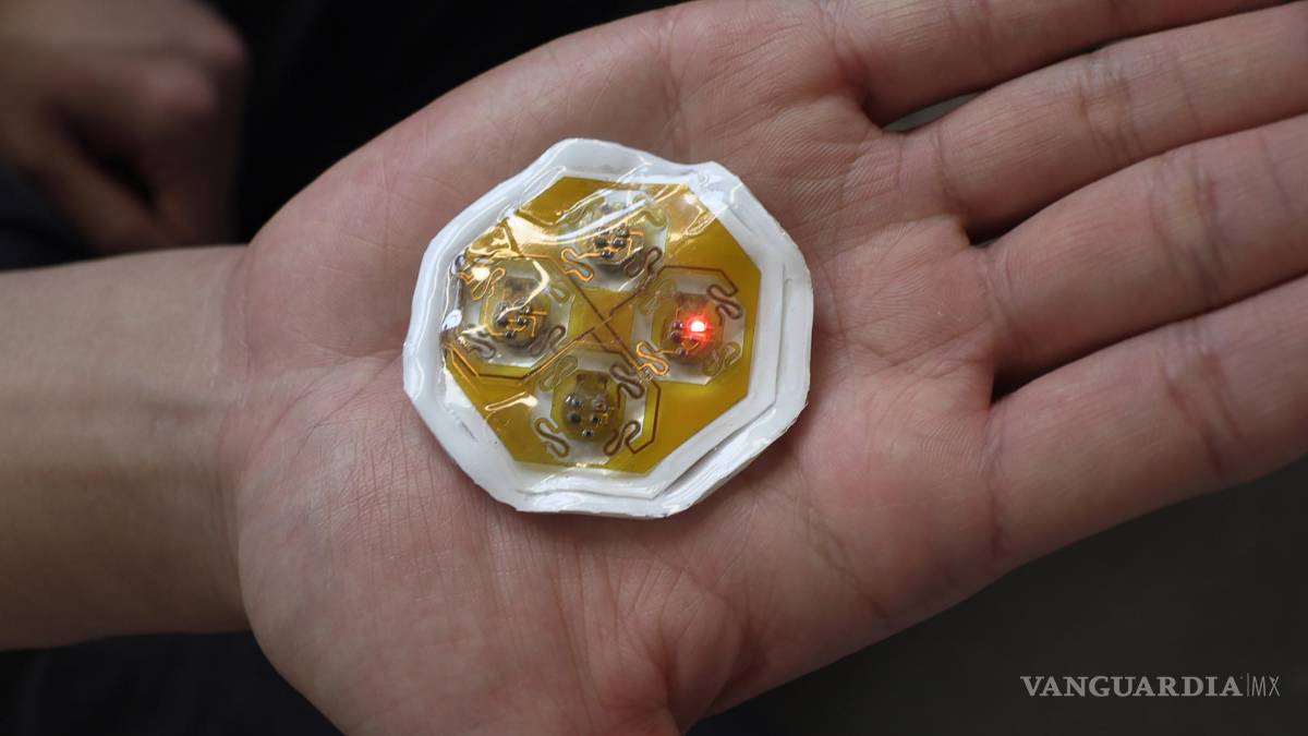 $!Parte inferior del dispositivo de retroalimentación háptica.