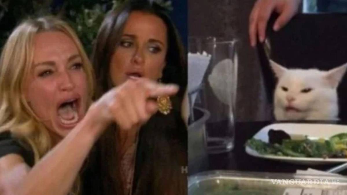 $!Dos imágenes que se convirtieron en meme. Este es el conocido gatito de ‘Tú me dijiste que”.