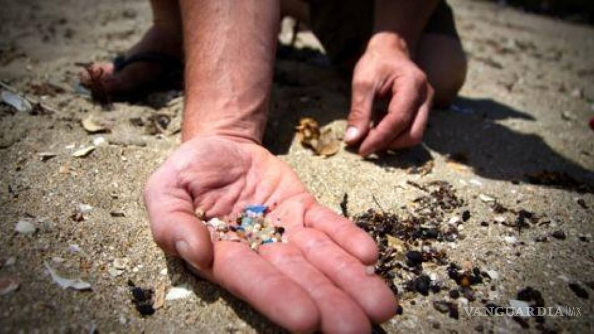 $!Descubren que los microplásticos afectan al funcionamiento de las membranas celulares