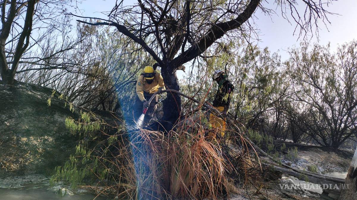Incendio forestal afecta 150 hectáreas de matorral y pastizal en Nuevo León