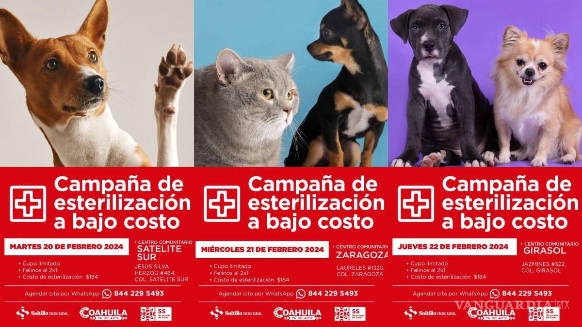 $!Los centros comunitarios se convertirán en puntos de atención para la esterilización de mascotas.