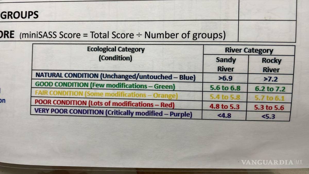 Alto grado de contaminación del Pozo Azul vuelve letal entorno para Carpita de Saltillo