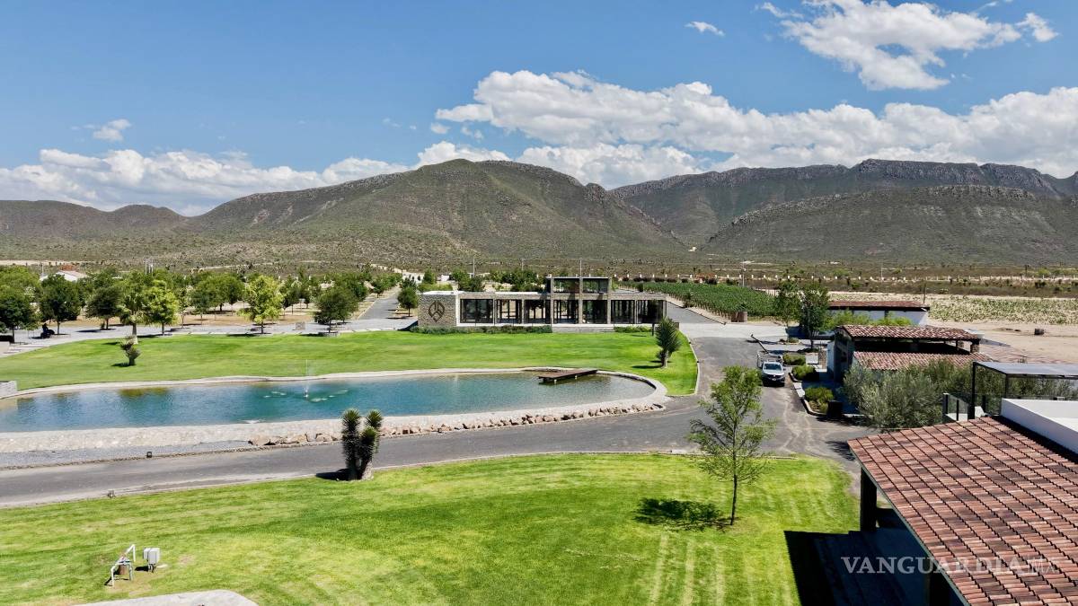 $!Siete bodegas de la región ofrecerán degustaciones de etiquetas reconocidas en certámenes nacionales e internacionales.