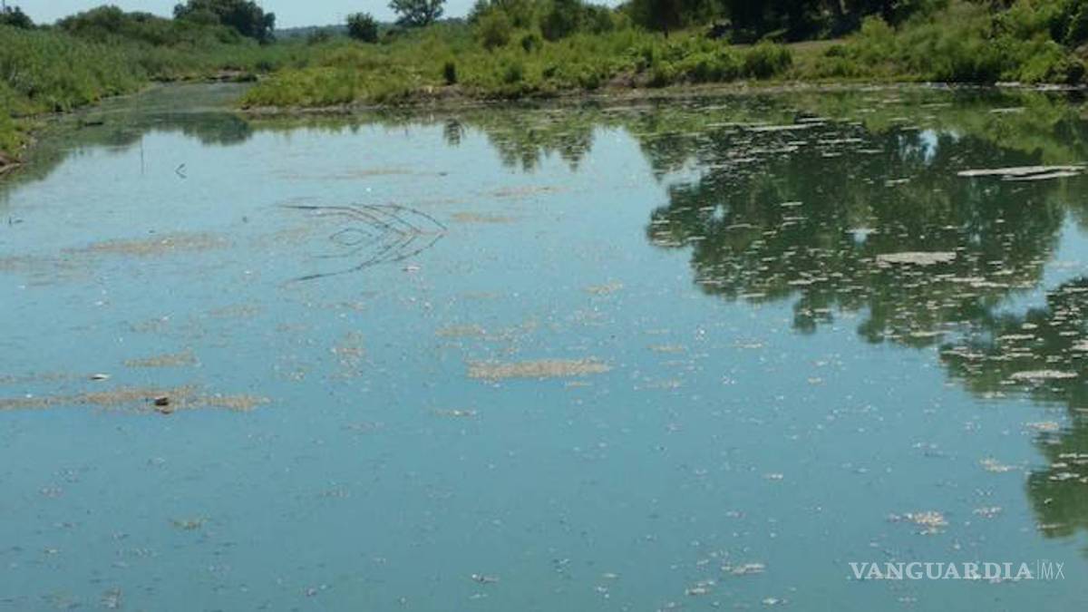 Rescatan a siete niños del Río Bravo; buscaban el sueño americano
