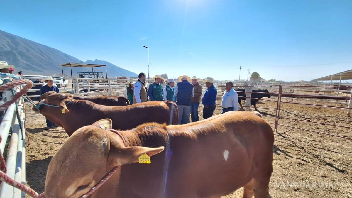 $!Productores de la Región Centro-Desierto recibieron suplemento alimenticio para enfrentar condiciones de sequía recurrente