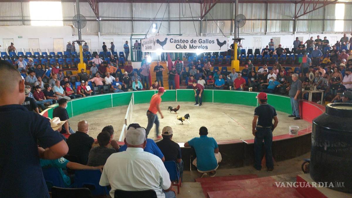 Asisten más de 400 a peleas de gallos; reabren moderno palenque para atraer turismo
