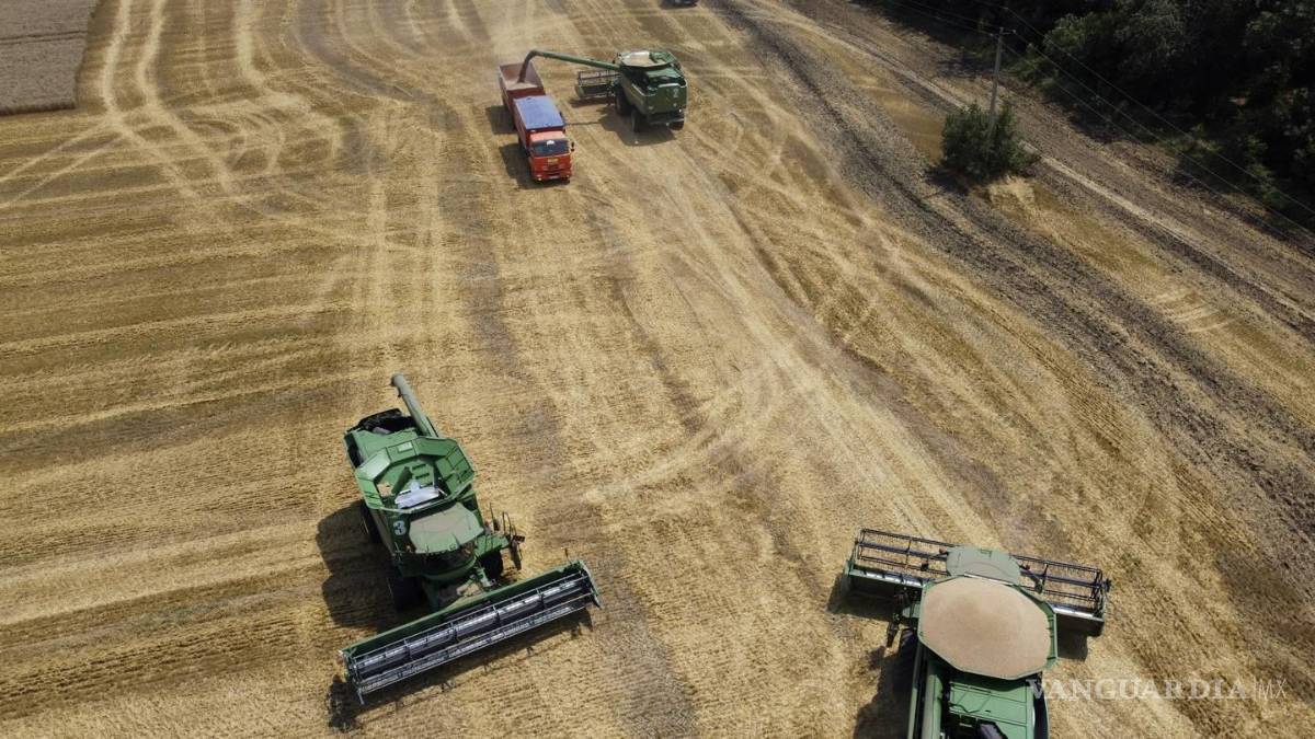 Crisis alimentaria, ¿ceder en sanciones contra Rusia?; definiciones ante desabasto de productos en el planeta