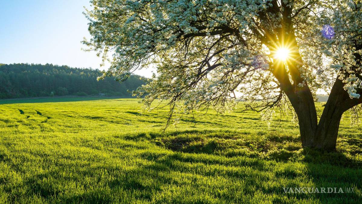 $!Equinoccio de primavera 2026: ¿Cómo ver el cambio de estación y qué significa en México?
