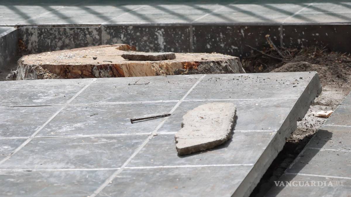 $!Las autoridades escolares reportaron el riesgo y el daño a la Dirección de Medio Ambiente y Desarrollo Sustentable.