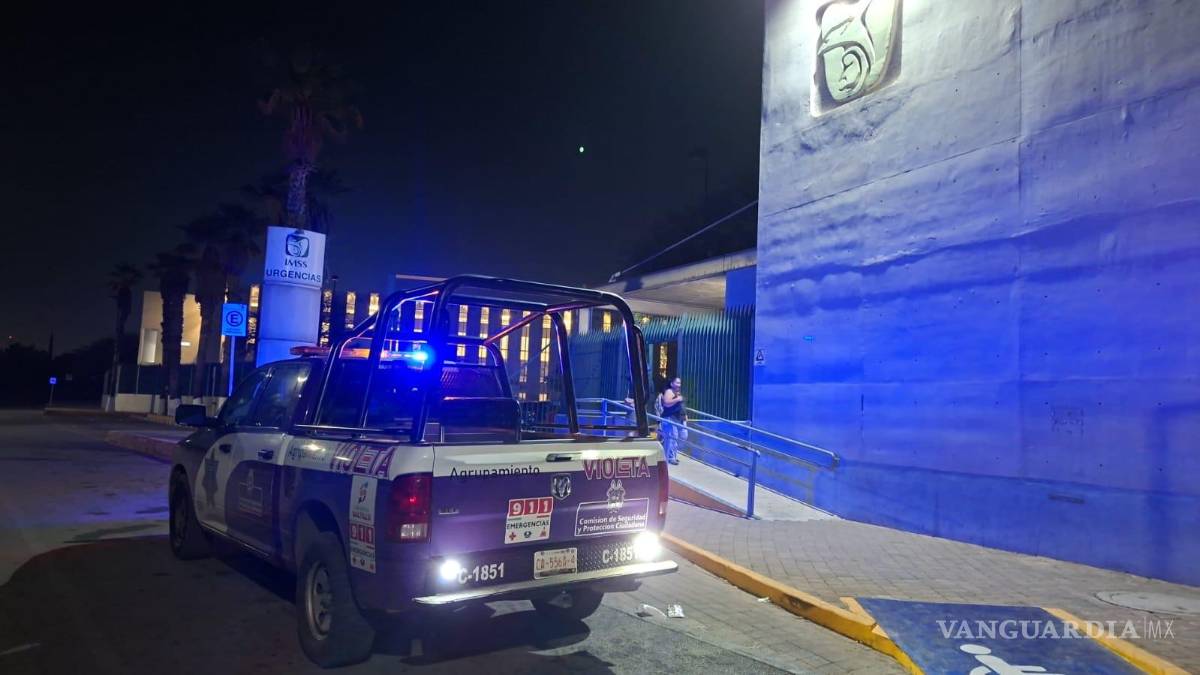 $!La línea 800 VIOLETA, implementada por el Gobierno Municipal de Saltillo, ofrece atención inmediata a mujeres víctimas de violencia física, psicológica y acoso sexual.