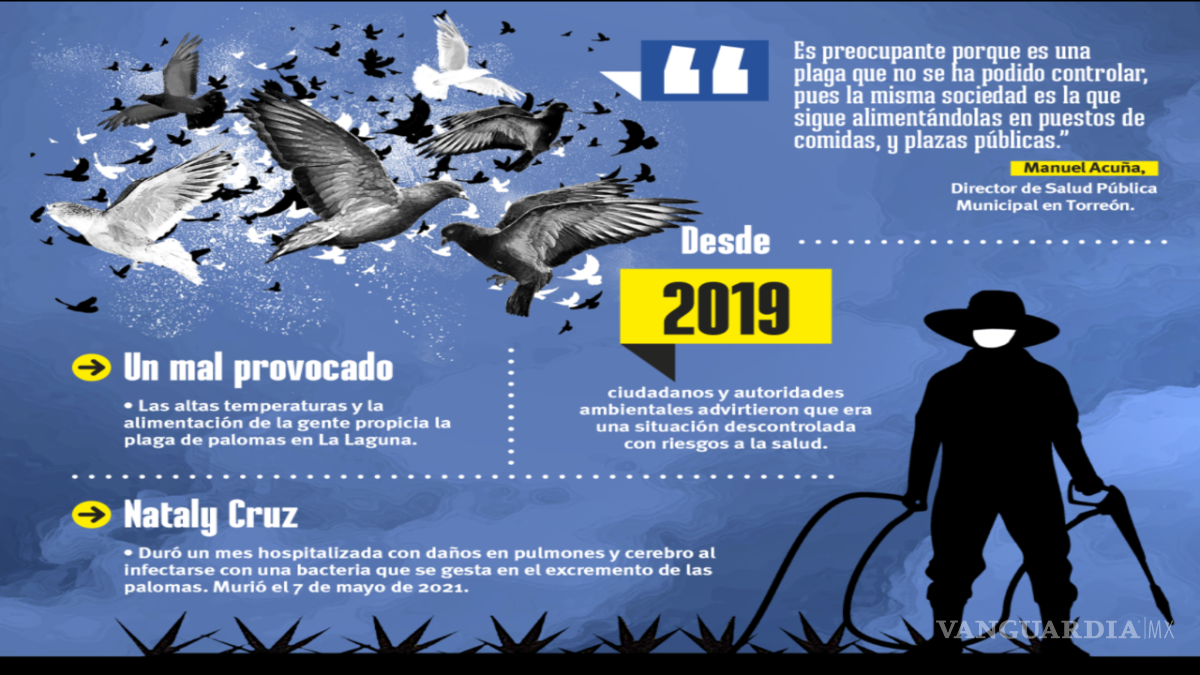 $!El ‘exterminador’ de palomas