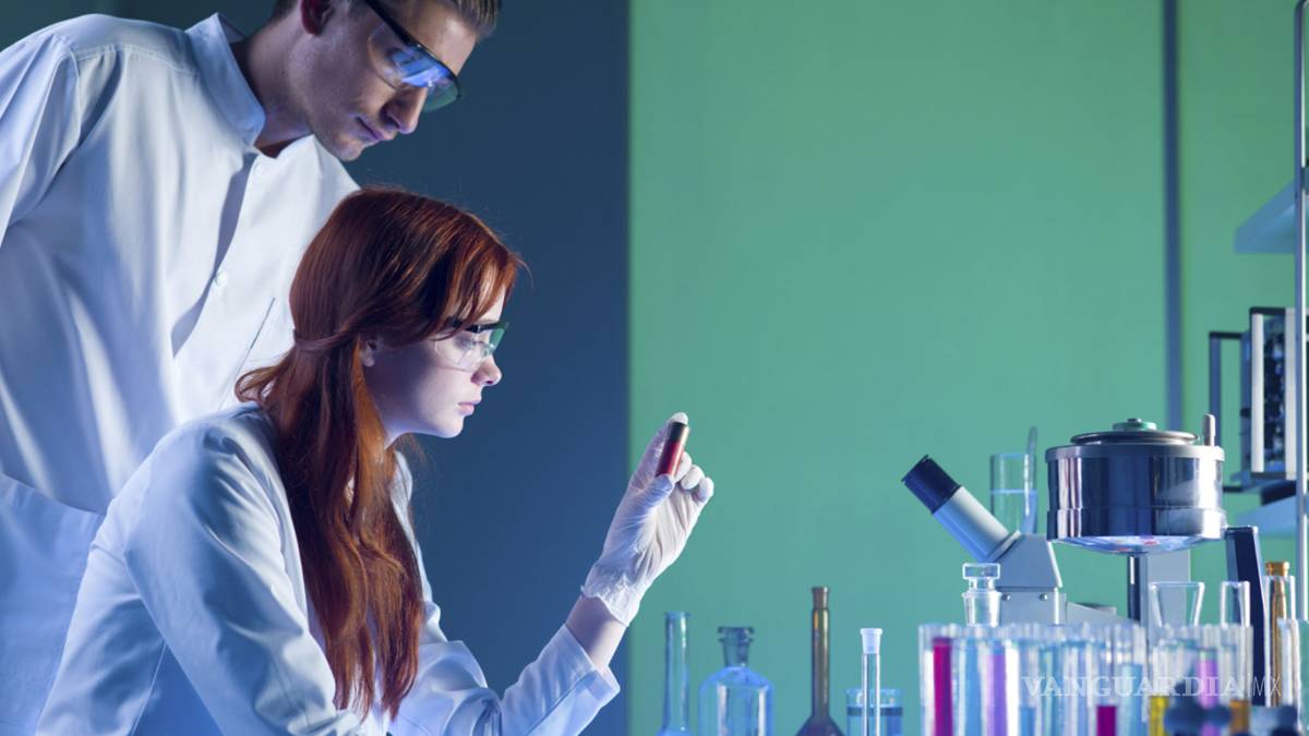 $!Guía práctica para ganar un Nobel científico