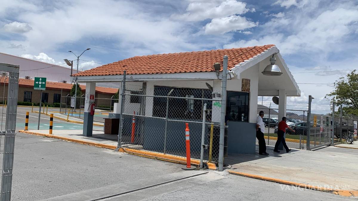 Reportan avistamiento de zorra con crías en fábrica de Ramos Arizpe