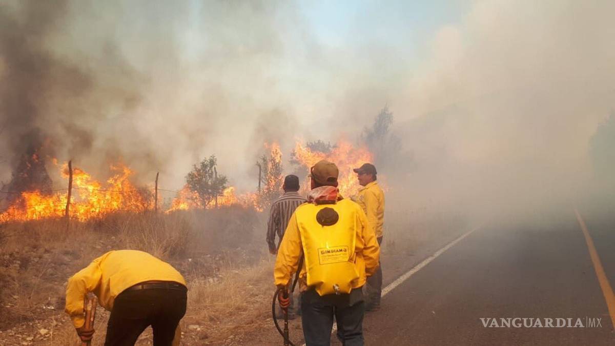 $!¡Ahora fue un corto! Fuego afecta 600 hectáreas en Arteaga