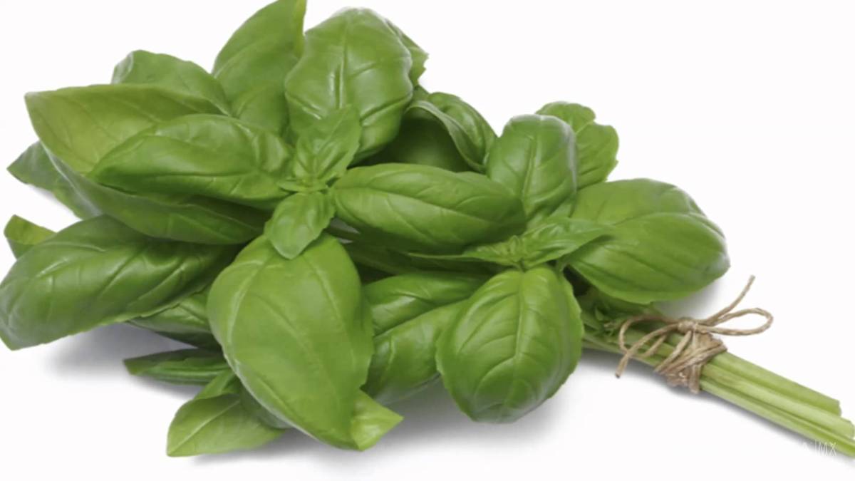 $!Infusiones para calmar los nervios