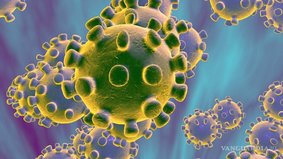 Esperan primeras lecturas de impacto del coronavirus