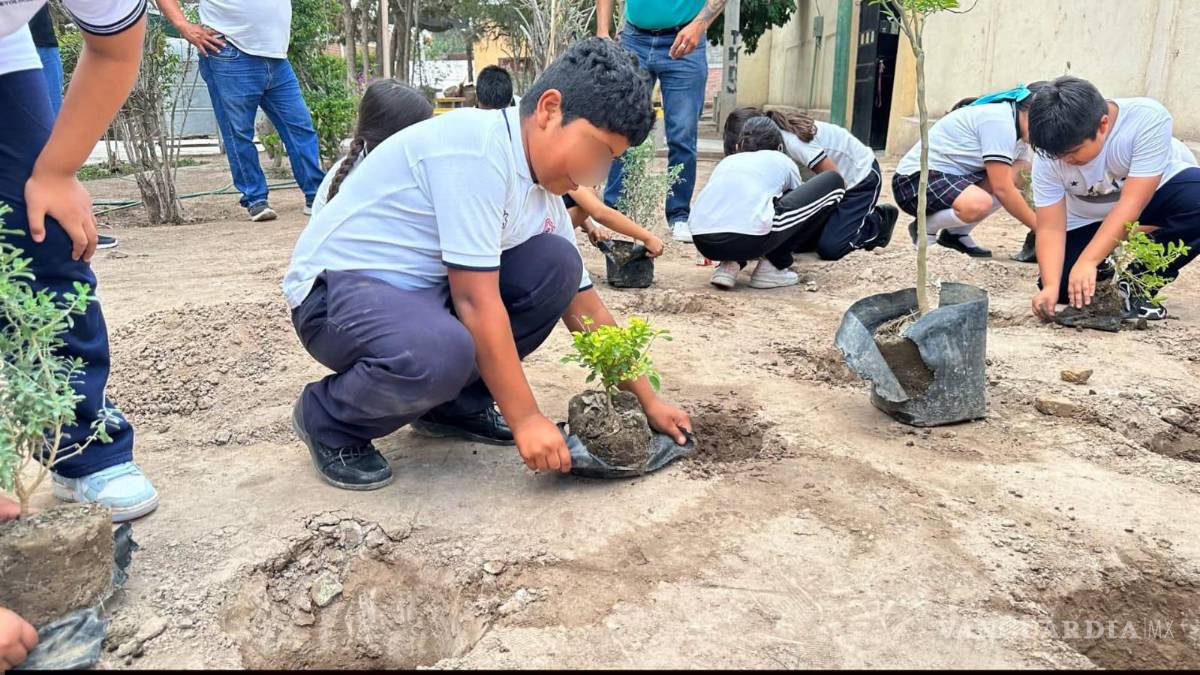 $!La capacitación incluyó herramientas teóricas y prácticas para que los responsables de los jardines escolares conozcan las necesidades de los polinizadores locales y favorezcan su conservación.