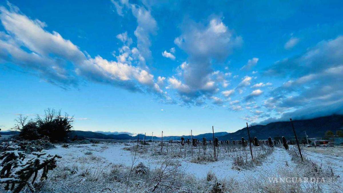 $!Arteaga se pinta de blanco en el último día del año