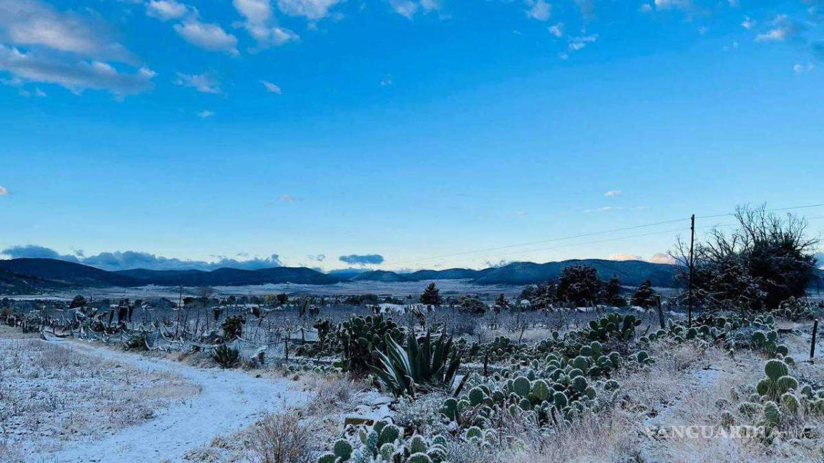 $!Arteaga se pinta de blanco en el último día del año